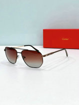Cartier Sunglasses AAA (1452) Cartier Sunglasses AAA (1452)