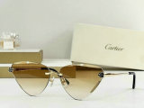 Cartier Sunglasses AAA (109)