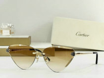 Cartier Sunglasses AAA (109) Cartier Sunglasses AAA (109)