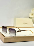 Cartier Sunglasses AAA (1490)