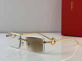 Cartier Sunglasses AAA (2689)