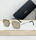 Cartier Sunglasses AAA (625)