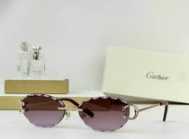 Cartier Sunglasses AAA (707)