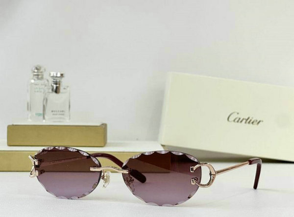 Cartier Sunglasses AAA (707)