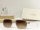 Cartier Sunglasses AAA (3616)