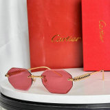 Cartier Sunglasses AAA (306)