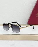 Cartier Sunglasses AAA (1977)
