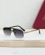 Cartier Sunglasses AAA (1977)