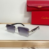 Cartier Sunglasses AAA (2976)