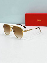 Cartier Sunglasses AAA (971)