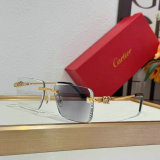 Cartier Sunglasses AAA (1712)