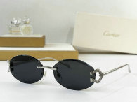 Cartier Sunglasses AAA (74)
