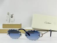 Cartier Sunglasses AAA (3641)