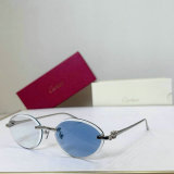Cartier Sunglasses AAA (159)