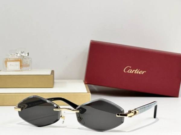 Cartier Sunglasses AAA (3495)
