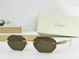 Cartier Sunglasses AAA (369)