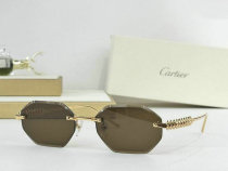 Cartier Sunglasses AAA (369) Cartier Sunglasses AAA (369)