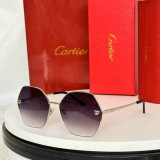 Cartier Sunglasses AAA (1289)