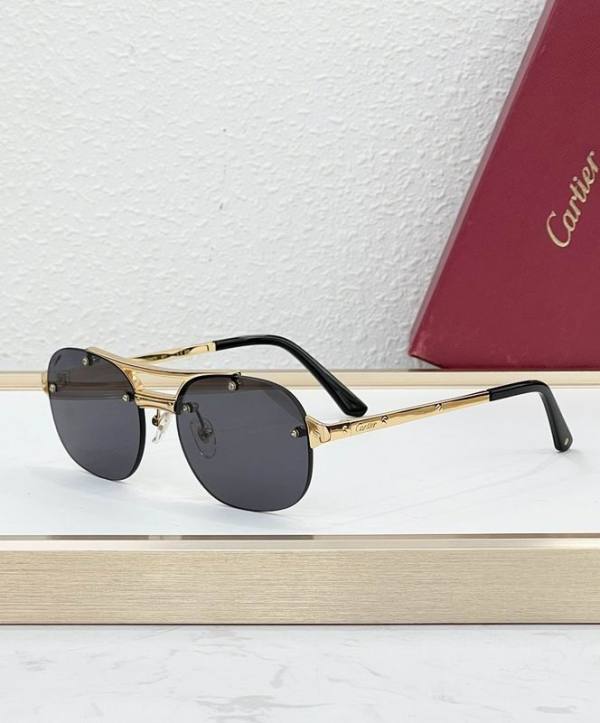 Cartier Sunglasses AAA (1984)