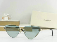 Cartier Sunglasses AAA (108)