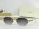 Cartier Sunglasses AAA (365)