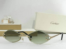 Cartier Sunglasses AAA (239) Cartier Sunglasses AAA (239)