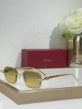 Cartier Sunglasses AAA (655)