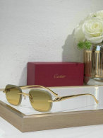 Cartier Sunglasses AAA (655)
