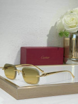 Cartier Sunglasses AAA (655) Cartier Sunglasses AAA (655)