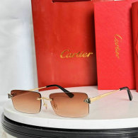 Cartier Sunglasses AAA (23)