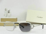 Cartier Sunglasses AAA (715)