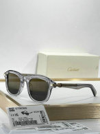Cartier Sunglasses AAA (135)