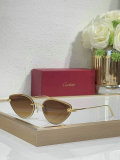 Cartier Sunglasses AAA (571)