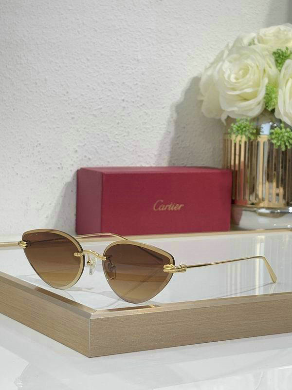 Cartier Sunglasses AAA (571)