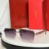 Cartier Sunglasses AAA (1314)
