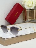 Cartier Sunglasses AAA (3003)