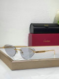 Cartier Sunglasses AAA (1267)