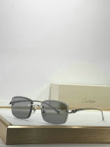 Cartier Sunglasses AAA (128) Cartier Sunglasses AAA (128)