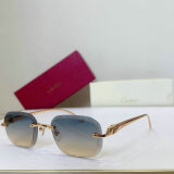 Cartier Sunglasses AAA (1761)