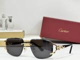 Cartier Sunglasses AAA (2484)