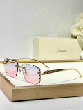 Cartier Sunglasses AAA (1489)