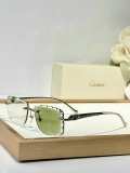Cartier Sunglasses AAA (1496)
