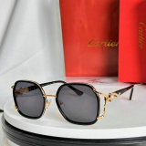 Cartier Sunglasses AAA (199)