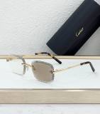 Cartier Sunglasses AAA (1915)