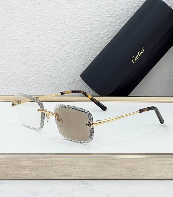 Cartier Sunglasses AAA (1915)