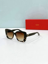 Cartier Sunglasses AAA (1330) Cartier Sunglasses AAA (1330)