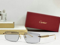 Cartier Sunglasses AAA (870) Cartier Sunglasses AAA (870)