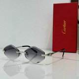 Cartier Sunglasses AAA (1711)
