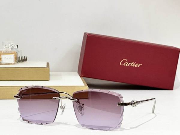 Cartier Sunglasses AAA (3504)