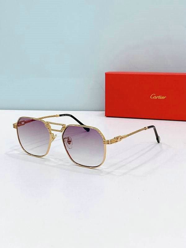 Cartier Sunglasses AAA (577)